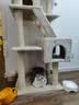 华元宠具（hoopet）猫爬架超大型猫窝猫树一体特大号猫爬柱猫架子猫玩具用品猫咪别墅 实拍图