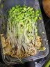 新鲜【香椿】芽苗菜可食用香椿苗香春苗冷艺新鲜蔬菜苗菜摆盘装饰 椿香浓郁香椿苗400克两盒装 实拍图