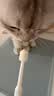 KOJIMA日本宠物牙膏狗狗猫咪牙刷猫咪刷牙洁牙宠物牙齿清洁用品奶香味 360°牙刷(犬猫通用) 实拍图