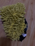 KARCHER KARCHER德国卡赫洗车毛巾擦车专用手套洗车工具洗车手套 黄色 实拍图