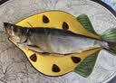 缤鲜 嗒莎熊俄式熏鱼整条鲱鱼 冷熏生熏鱼姐同款咸鱼整条即食顺丰包邮 含鱼籽冷熏鲱鱼220g左右*1条【净重】 实拍图