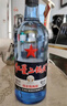 红星二锅头 蓝瓶绵柔8陈酿 清香型白酒 43度 500ml*2瓶 口粮酒 实拍图