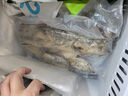 湄公大厨 海鲈鱼青花椒烤鱼(鱼400g 汤汁550g+酱料200g) 1.15kg 非油炸 实拍图