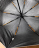 山山自动加固结实抗风折叠防晒伞晴雨两用太阳伞防紫外线遮阳伞16骨米 实拍图