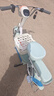 飞鸽电动自行车 E75Plus新国标电动车2026【敦煌联名】80KM长续航48V21Ah铅酸电池智能电瓶车可上牌 实拍图