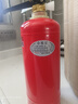 神龙25年新国标干粉灭火器1kg 商用物业车载家用消防器材 MF/ABCE1 实拍图