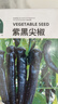 北蔬辣椒种子苗美人椒朝天椒薄皮皱椒四季阳台蔬菜籽 8种辣椒种子大全 实拍图