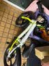 凤凰儿童自行车单车2-3-4-6-9-10岁男孩童车中大童女孩小孩宝宝脚踏车 【爆】春意绿-一体轮-碟刹 16寸（推荐身高105-115cm） 实拍图