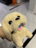 Honey Joy仿真毛绒儿童玩具狗狗会走路会叫电动小狗宠物狗金毛礼物 实拍图
