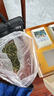 至鼎绿茶 安吉特级明前白茶 嫩芽新款清香型茶叶高端送礼礼盒250g 实拍图