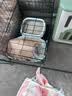 波奇多狗狗笼子中号【贈豪华饲养套装】室内带厕所宠物狗笼宠物别墅狗窝 实拍图