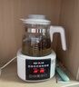 先锋恒温壶婴儿养生壶恒温烧水壶调奶器保温暖奶器宝宝泡奶机热水壶 实拍图