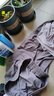 骆驼（CAMEL）晨跑健身运动服女休闲短袖两件套装 Y23BA0L6059C5 雪柔紫 XXL 实拍图