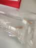 宠小侠热带纯种精品孔雀鱼观赏鱼热带鱼小型淡水鱼孕母好养耐活凤尾 天空蓝6条 4+2备损（3公3母） 实拍图
