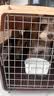 波奇多 宠物航空箱猫狗大容量空运箱 托运航空箱 小号(建议12斤内宠物) 实拍图