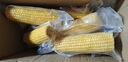 蒙之宝 MON BEAU 内蒙有机甜糯玉米250g+-10g x8棒礼盒装2kg 真空锁鲜 源头直发 实拍图