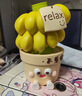 杞乐生日礼物送女生男友桌面摆件母亲节治愈系伴手礼禁止焦虑工位装饰 不焦虑摆件【礼盒包装】 实拍图