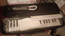 奇美37键教学推荐黑霸王口风琴（进口音簧、EVA皮革包、配吹奏说明） 实拍图
