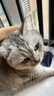 愛肯拿（ACANA）猫粮农场盛宴牧场盛宴高蛋白无谷进口通用猫粮鸡肉味【官方授权】 【详情页领券更优惠】1.8kg-27/4/18 实拍图