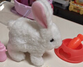 雅斯妮儿童玩具仿真动物电动宠物小兔子玩偶会动会叫3-6岁女孩生日礼物 实拍图