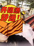探险者（TAN XIAN ZHE）吊床户外秋千室内单人吊床双人吊床加宽加厚帆布秋千宿舍吊床 【升级防侧翻】双人加宽彩虹色 实拍图