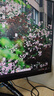 微星24.5英寸 FHD 100Hz显示器 HDR Ready 莱茵护眼认证 IPS面板 家用电竞办公护眼显示屏 PRO MP252L 爆款 24