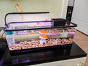 阔庭（KUOTING）鱼缸水族箱客厅桌面生态造景家用带灯制氧过滤鱼缸黑色【超大号】 实拍图