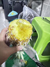 广东徐闻香水菠萝孕妇水果新鲜大果整箱包邮 实拍图