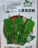 播种心情家庭种植蔬菜种子大全四季播种阳台盆栽农家庭院小菜园有机香菜菠 黄秋葵种子2包 实拍图