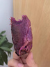 粤迎新鲜现挖沙地紫薯粉糯香甜紫罗兰紫心番薯蜜薯紫薯地瓜当季整箱 5斤甄选装【粉糯香甜】净4.5斤 实拍图