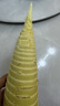 文彦青年号学生少先队鼓号队降B小号乐器大喇叭初学少年队号小学 旗舰款金色（省力嘴）号旗手套包 实拍图