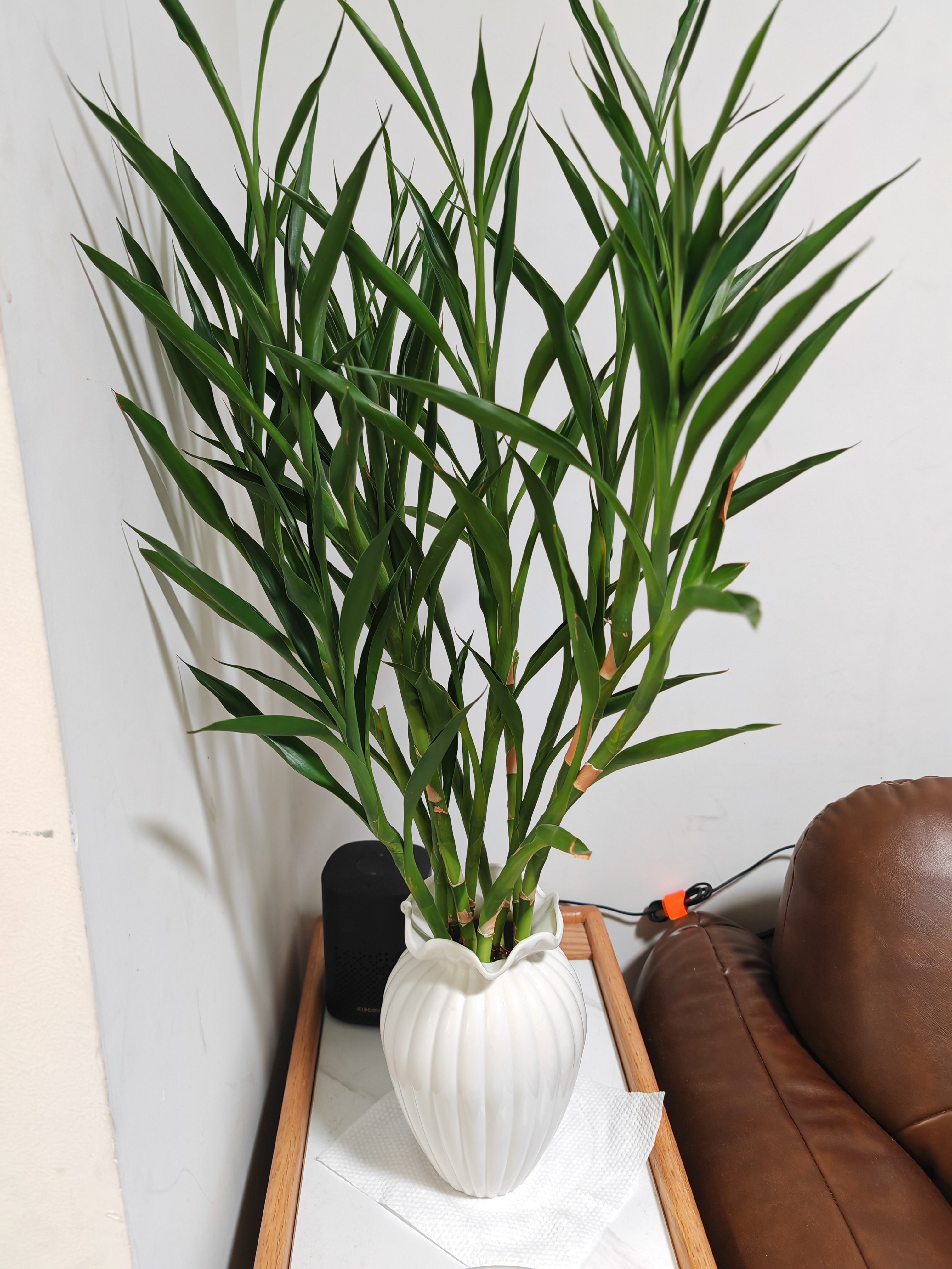 陶瓷花瓶摆件客厅插花水培鲜花绿植盆栽家居装饰品干花花插小花器 HD-05奶油白清晏瓶 实拍图