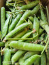 新鲜豌豆四川带壳青豆角水果甜豆荚农家蔬菜 四川新鲜青豌豆荚净重5斤 实拍图