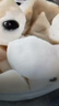 壹萌果蔬释迦果新鲜【顺丰次日达】大目释迦果番荔枝泰国热带水果节日送礼 5斤精品果【单果200g+】净重4.5斤 实拍图