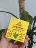 皮皮狗儿童柔润面霜60g（芦荟）宝宝秋冬清爽补水保湿护肤润肤乳滋润 实拍图