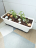 奥美优阳台种菜盆种菜专用箱蔬菜种植箱楼房花箱自吸水长花盆水培户外 实拍图
