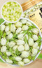 福茗源 花草茶茉莉花苞罐装100g/罐广西横县三伏天茉莉花茶干花蕾养生茶 实拍图
