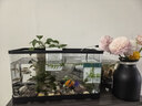 阔庭（KUOTING）鱼缸懒人鱼缸家用客厅办公室水培吊篮金鱼缸过滤鱼缸黑色款 实拍图