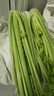 山东新鲜大西芹现割现发榨汁西芹首选水果西芹蔬菜生鲜减肥减脂 新鲜西芹带箱2斤 净重1.7斤 实拍图