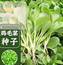 北蔬 鸡毛菜种子种苗速生小青菜阳台四季蔬菜种籽 全季鸡毛菜种子30g 晒单实拍图