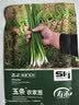 寿禾老品种小香葱种子苗四季家庭种植菜籽 潍育玉条农家葱种子2000粒 实拍图