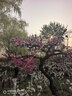 百丽男鞋通勤商务正装鞋春夏职场婚鞋真皮鞋牛皮A2247 黑色-三接头 44 实拍图
