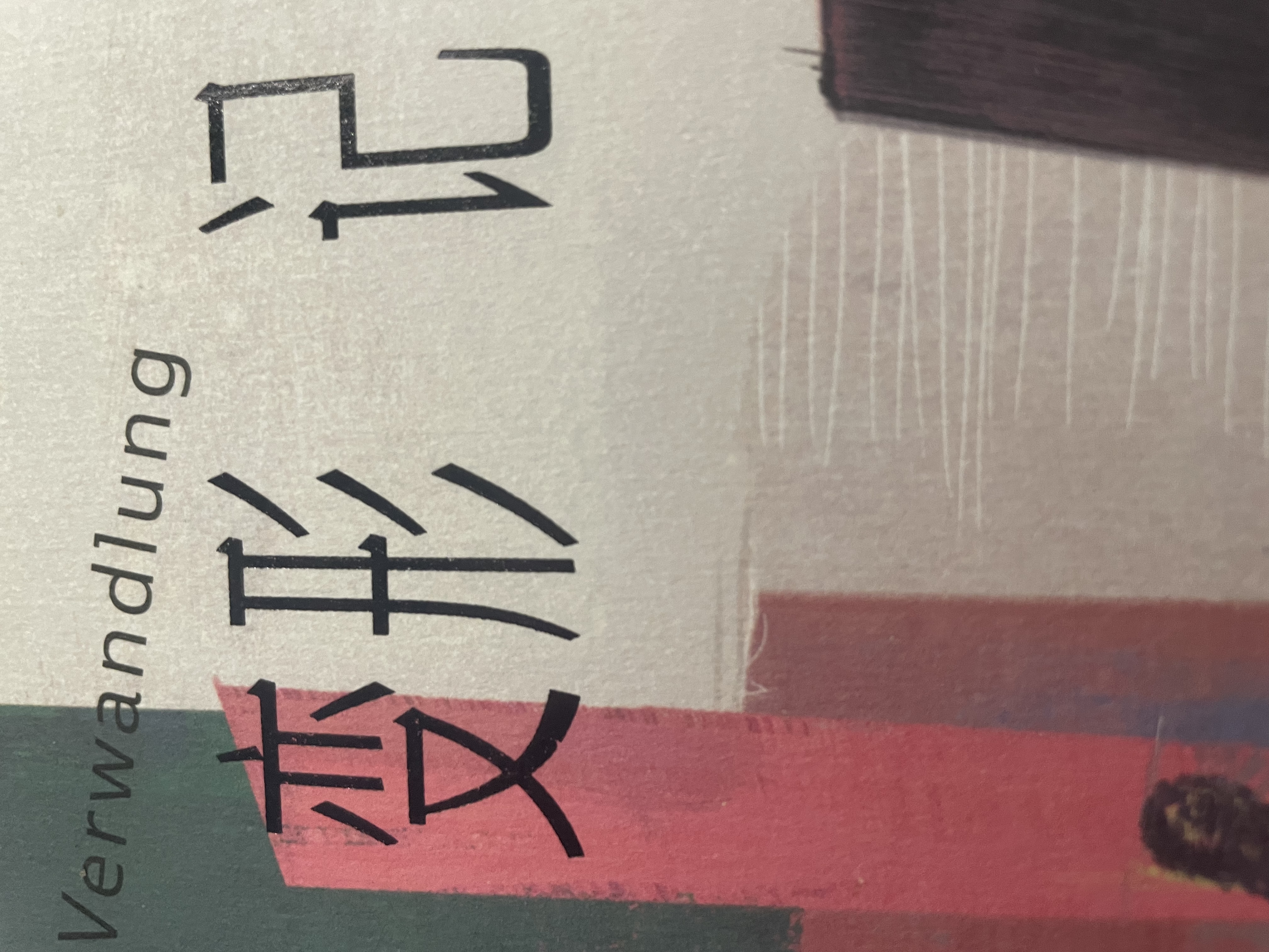 变形的人：卡夫卡精选集~变形记：卡夫卡短篇小说选 实拍图
