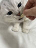 约克先生宠物猫零食猫咪营养猫草酥排毛化毛球80根冻干鸡肉羊奶猫草棒45g 实拍图