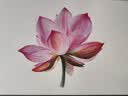 辉柏嘉（Faber-castell）油性彩色铅笔专业手绘艺术家大师级绘画套装120色进口绿铁盒装110011【梵高认证】画画笔 实拍图