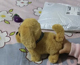 Honey Joy仿真毛绒儿童玩具狗狗会走路会叫电动小狗宠物狗金毛礼物 实拍图