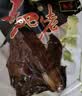 乡吧佬 香卤鸡全翅肉干零食卤味翅尖熟食休闲小吃即食手撕风干 35g*3袋 实拍图