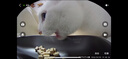 小佩宠物智能自动喂食器猫咪饮水机 猫粮狗粮远程控制自动定时定量 可视双子星喂食器 2+饮水机MAX 2 实拍图