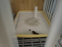 华元宠具（hoopet）狗狗平板厕所大型中型犬比熊泰迪狗用定点上神器尿尿盆便盆防踩屎 实拍图
