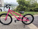 途锐达京东自营超轻铝合金自行车儿童6-12岁女孩单车元旦礼物蜂鸟20寸粉 实拍图